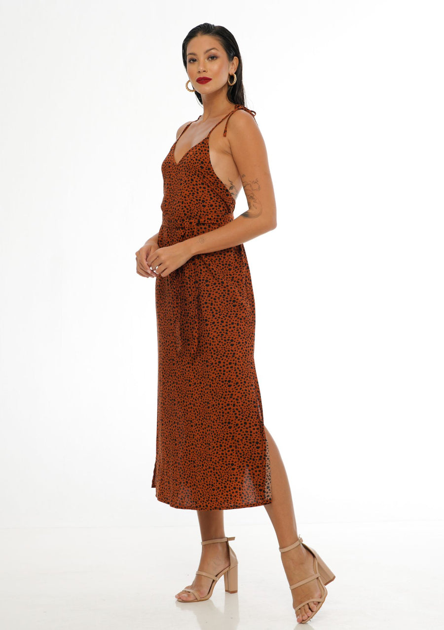 Lost and Found Dress
